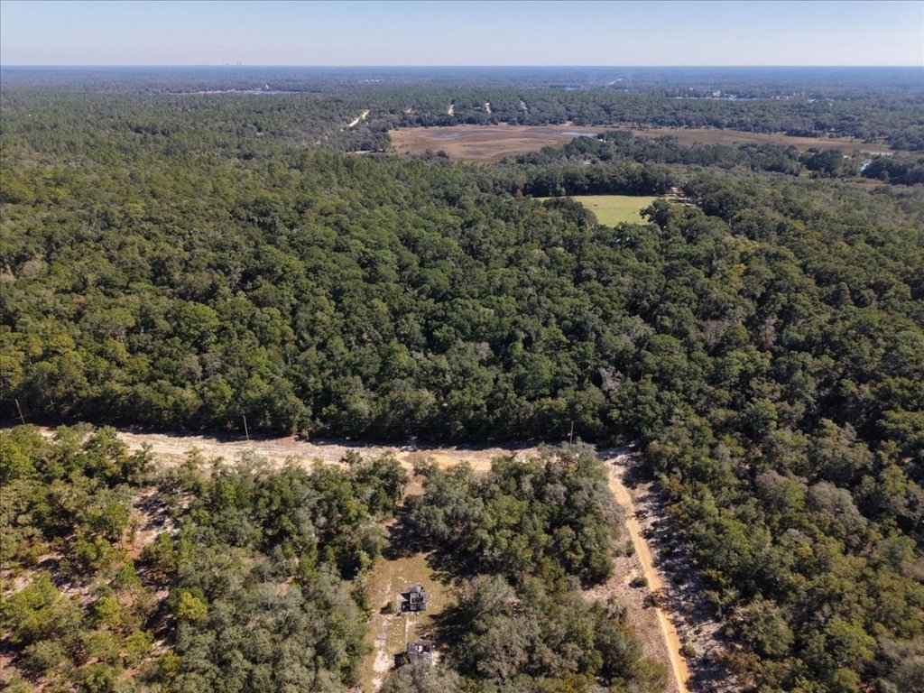 Putnam County, Florida residential land lot near Interlachen - photo 7