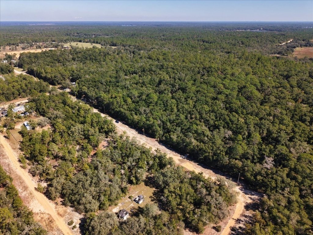 10th Street property listing, Interlachen, Putnam County, Florida - photo 8