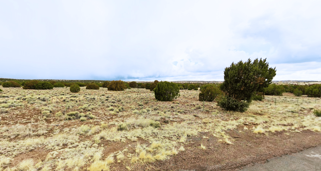 Double-lot investment property: 2.24 acres Arizona grassland - photo 3