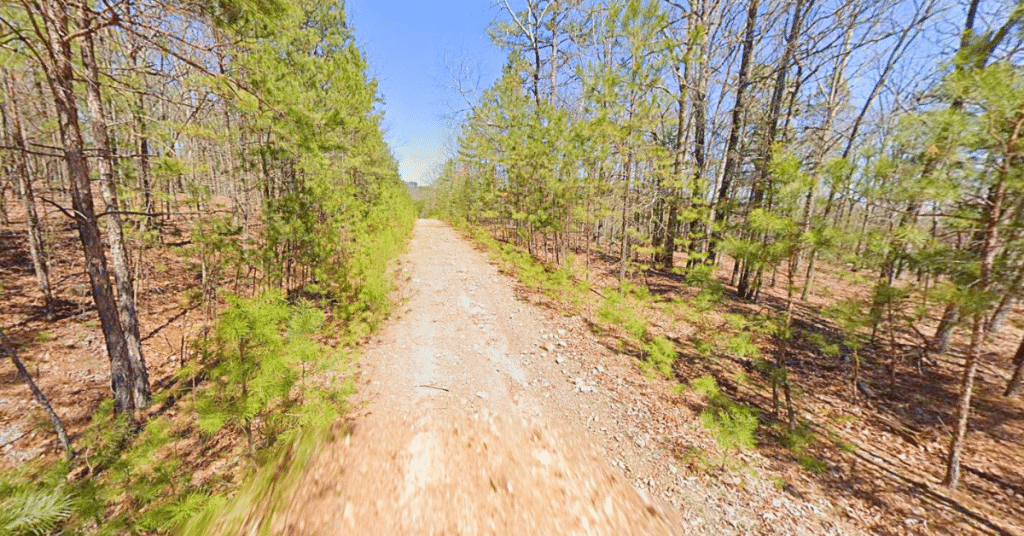 Affordable quarter-acre land listing in Fairfield Bay, AR - $1,950 cash price