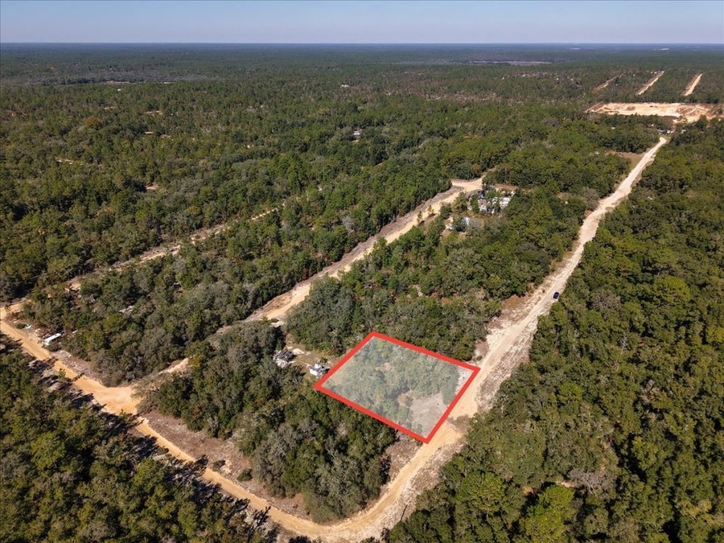 Buildable 0.36 acre lot in Putnam County, Interlachen, Florida - photo 4