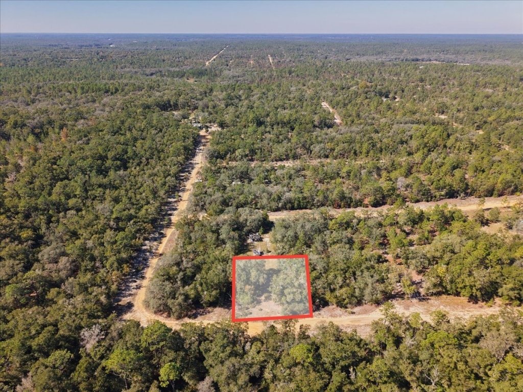 0.36 acre mobile home friendly buildable land in Interlachen, FL - photo 6