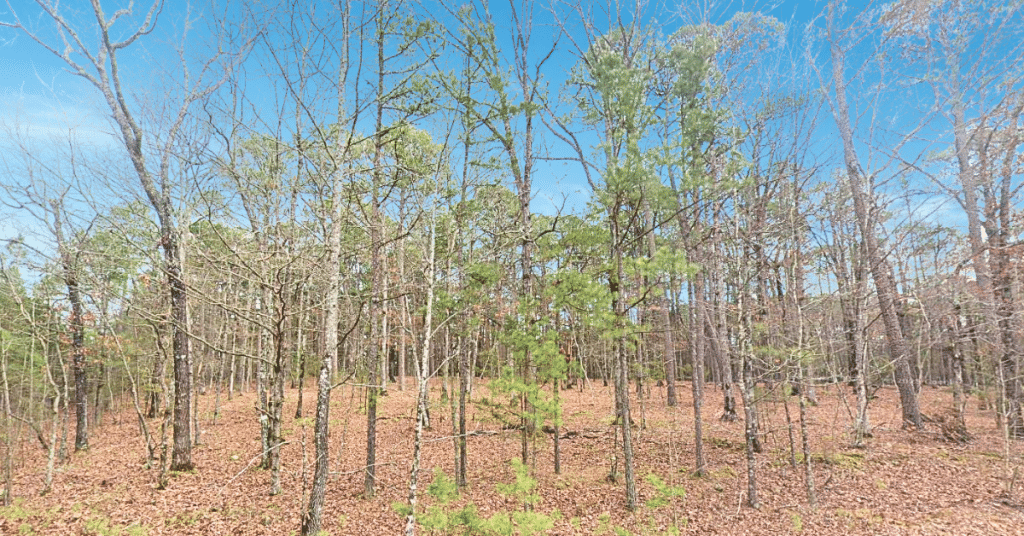 Owner-financed land lot in Fairfield Bay, Arkansas near Greers Ferry Lake