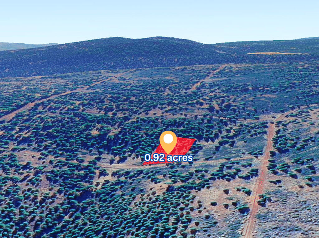 0.92 acre parcel in Likely, California available for owner financing - photo 7