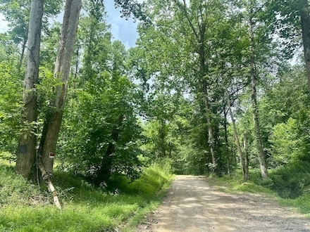 67 Acres land for Sale in Danville, West Virginia