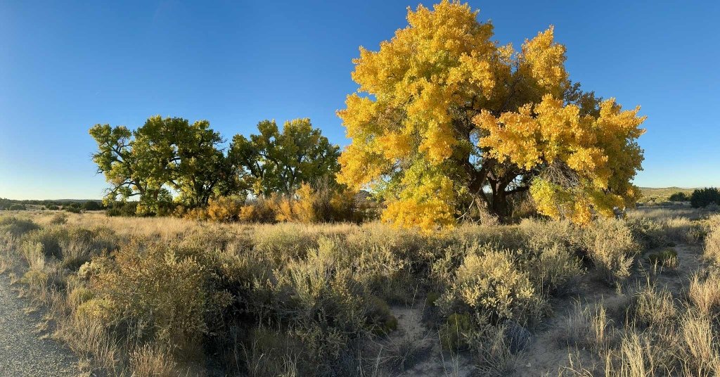 121-acre buildable land for sale in Santa Fe County, New Mexico near Los Cerrillos