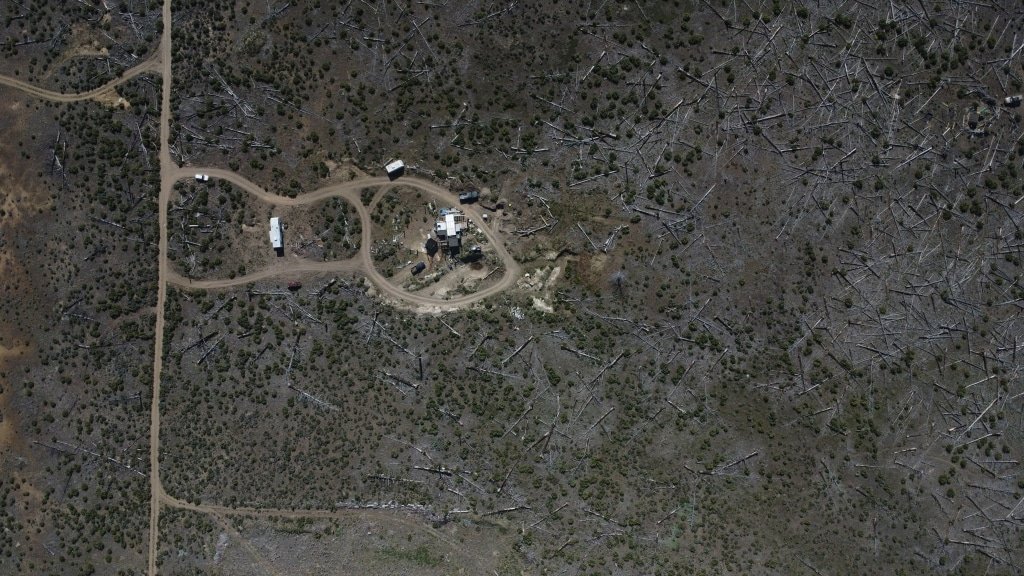 Oregon Forest Haven: 2.35 acres in Klamath County, $275 monthly terms