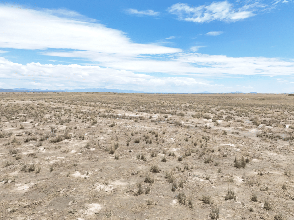 Willcox Arizona buildable lot photo: 0.25 acre open land with road access and flat terrain