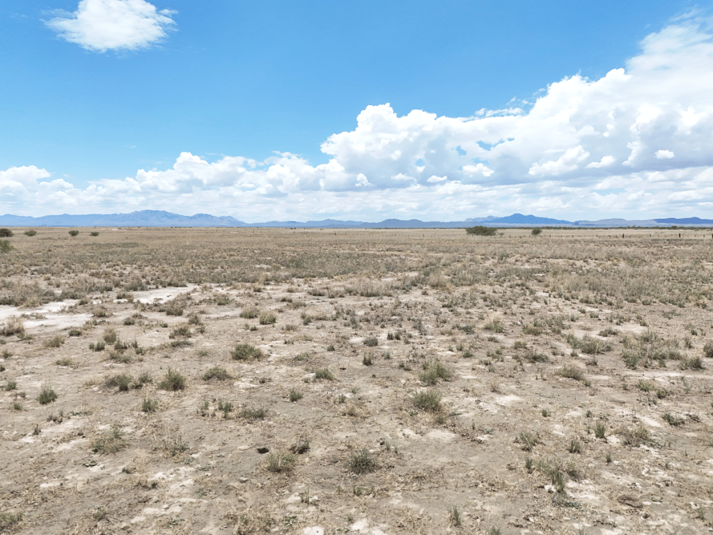 2-acre Arizona land listing near Willcox - $5,000 cash price shown