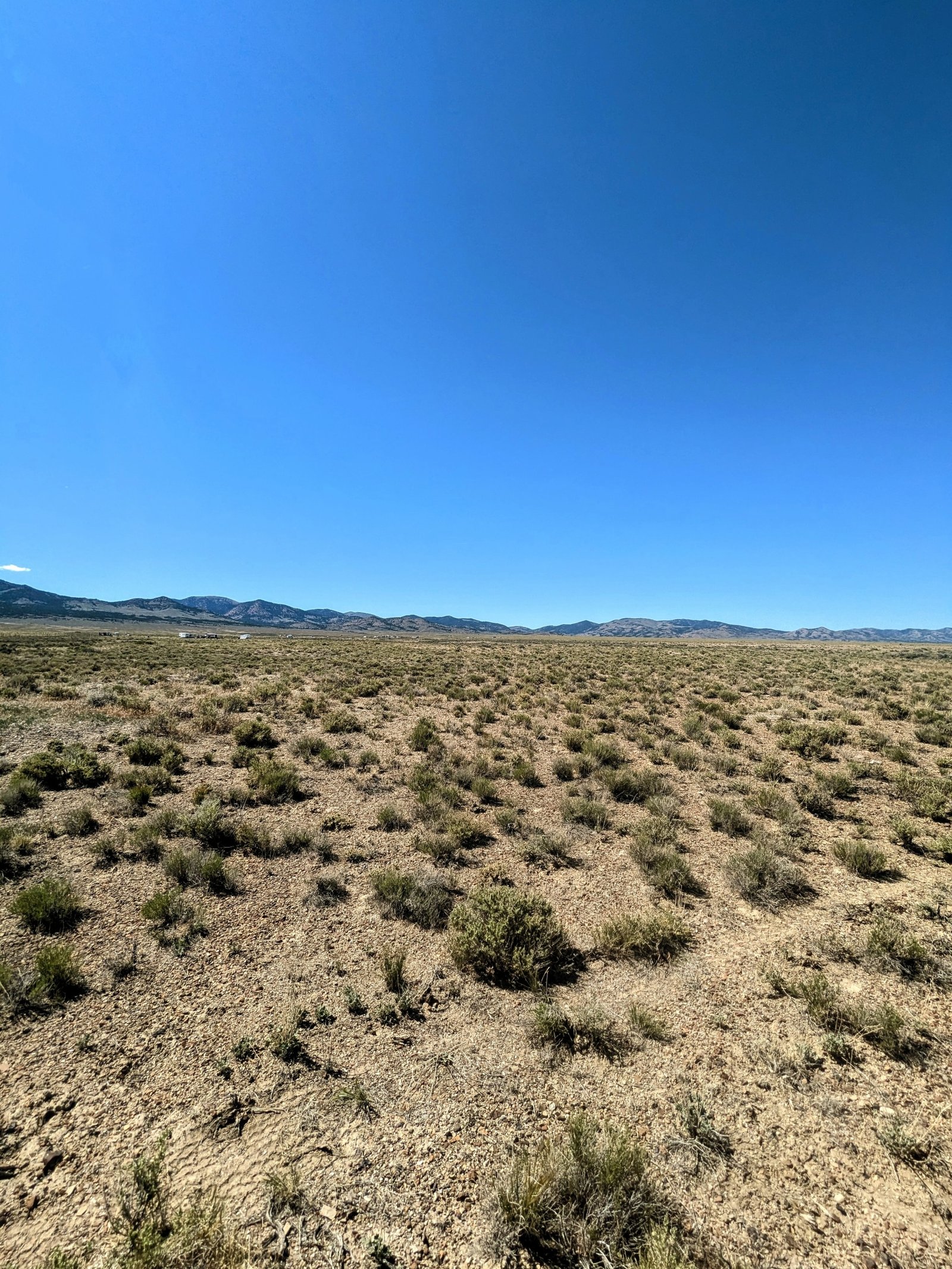 PXL_20250530_215353220~2