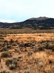 5-acre desert lot in Elko County, Nevada near Montello - owner-financed land listing