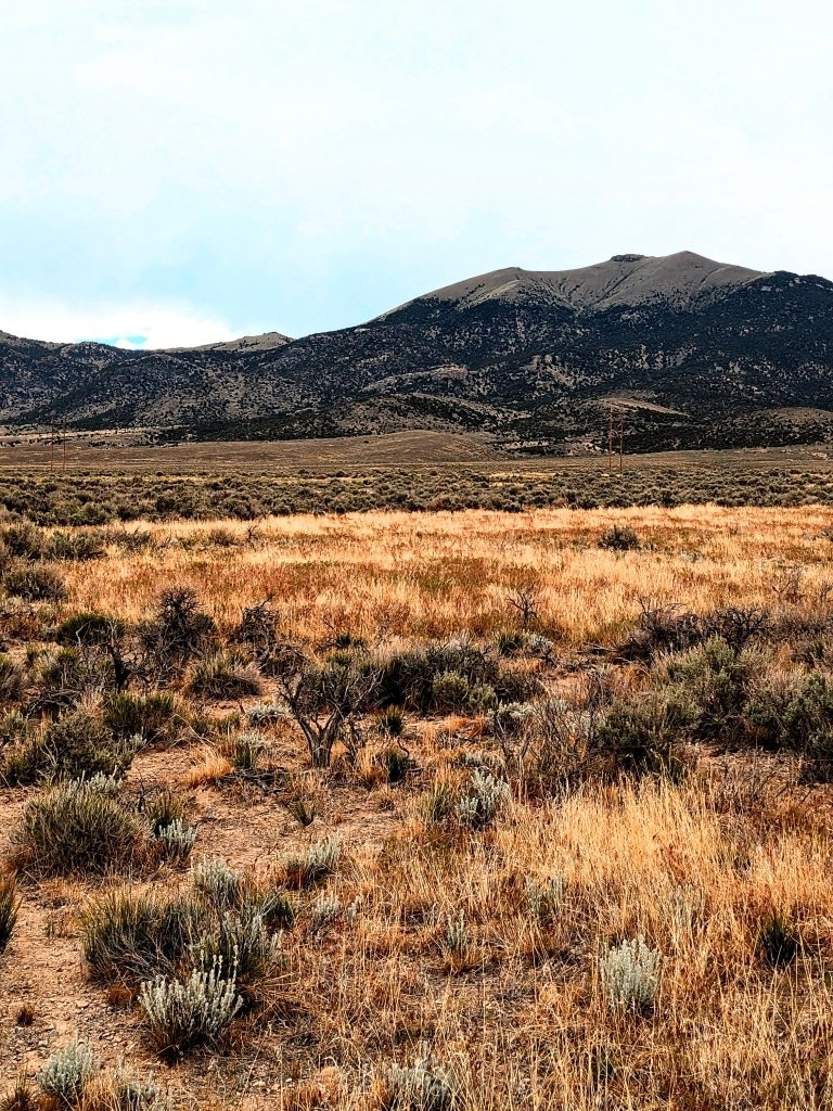 Quiet 5-Acre Desert Lot: $195/mo – Easy Owner Financing