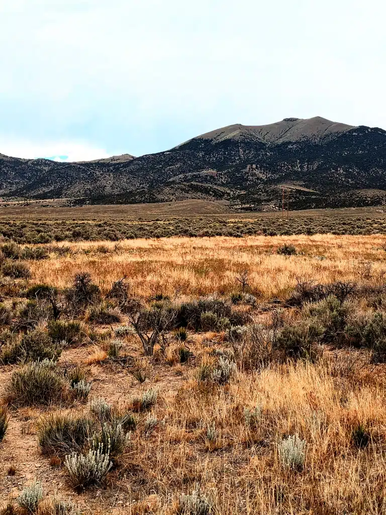 Quiet 5-Acre Desert Lot: $195/mo – Easy Owner Financing