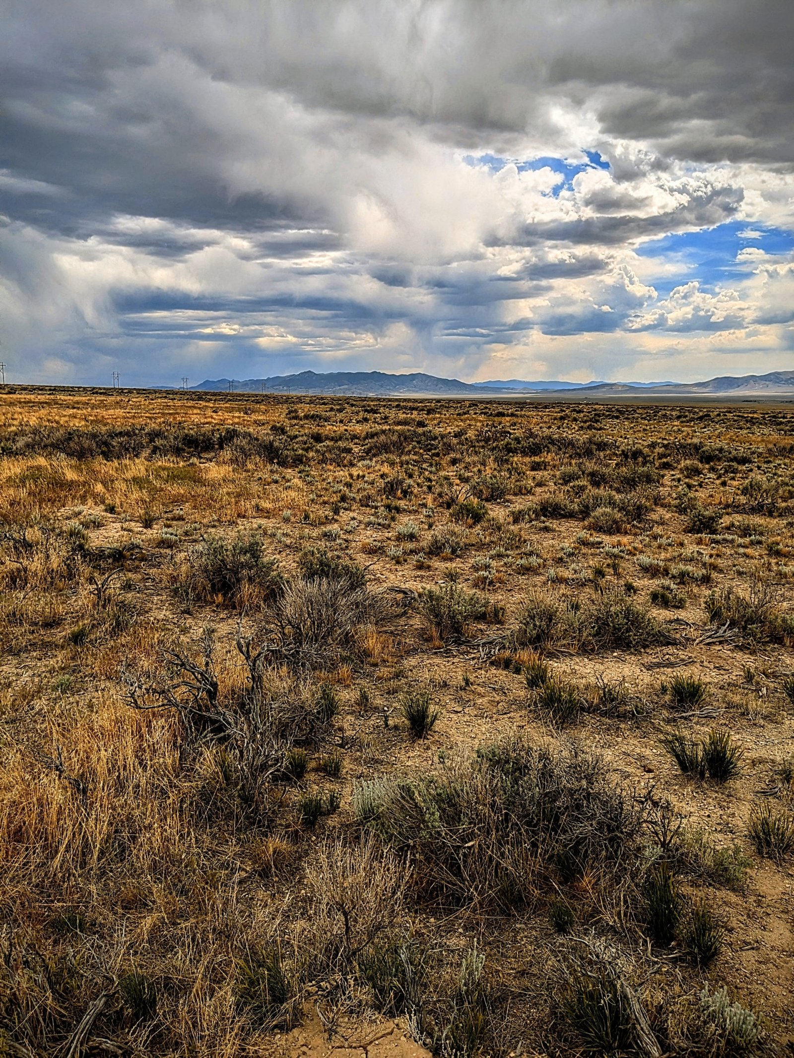 PXL_20250601_215932388~2