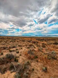 Sandy soil desert property in Elko County, Nevada with road access - photo 4