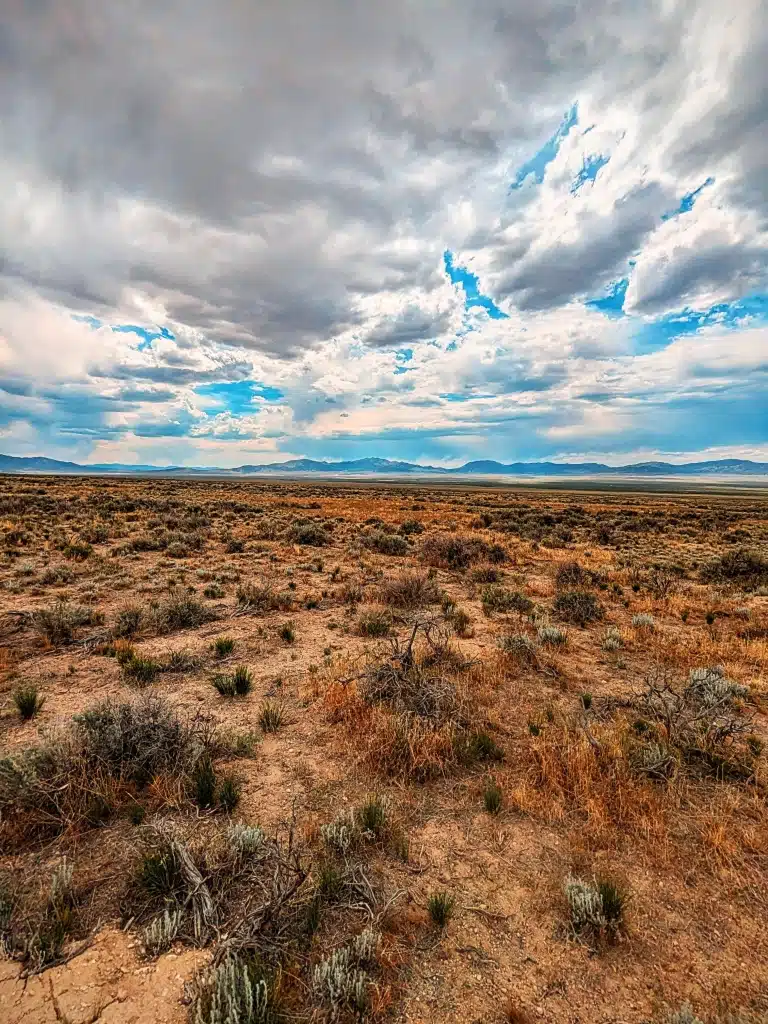 Sandy soil desert property in Elko County, Nevada with road access - photo 4