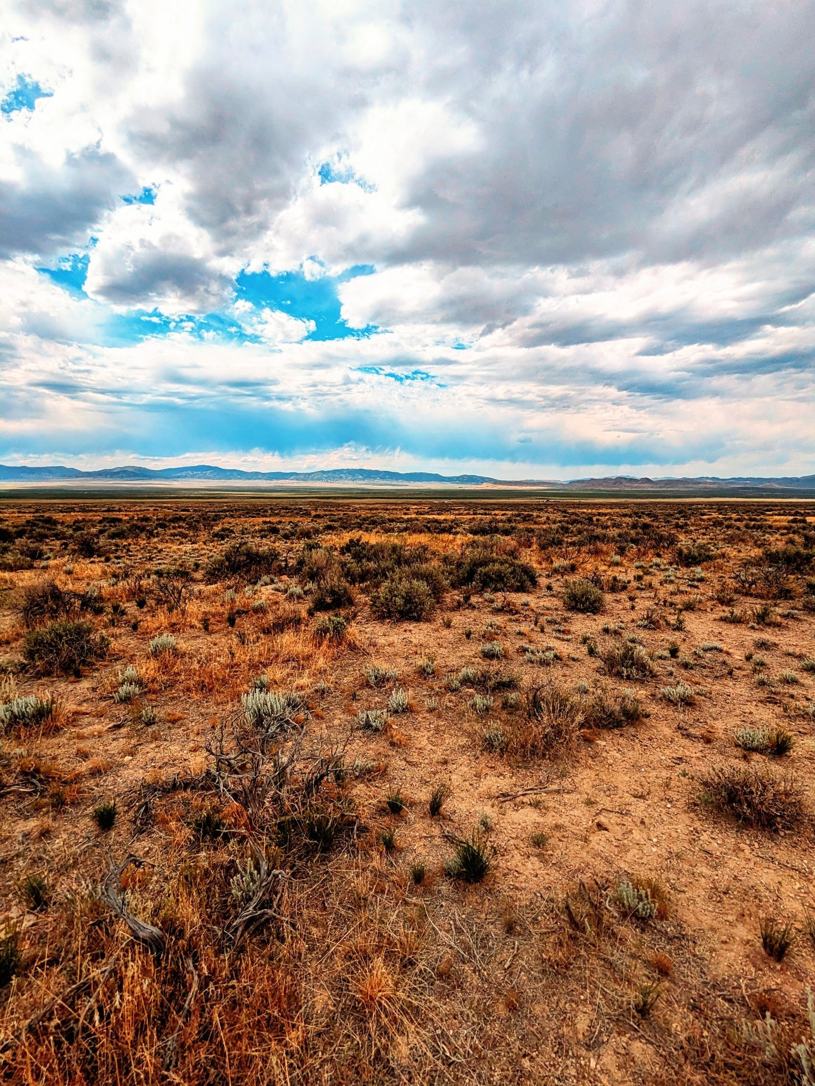 PXL_20250601_215957930~2