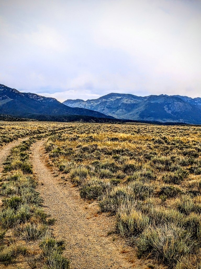 10 Acres Land in Nevada
