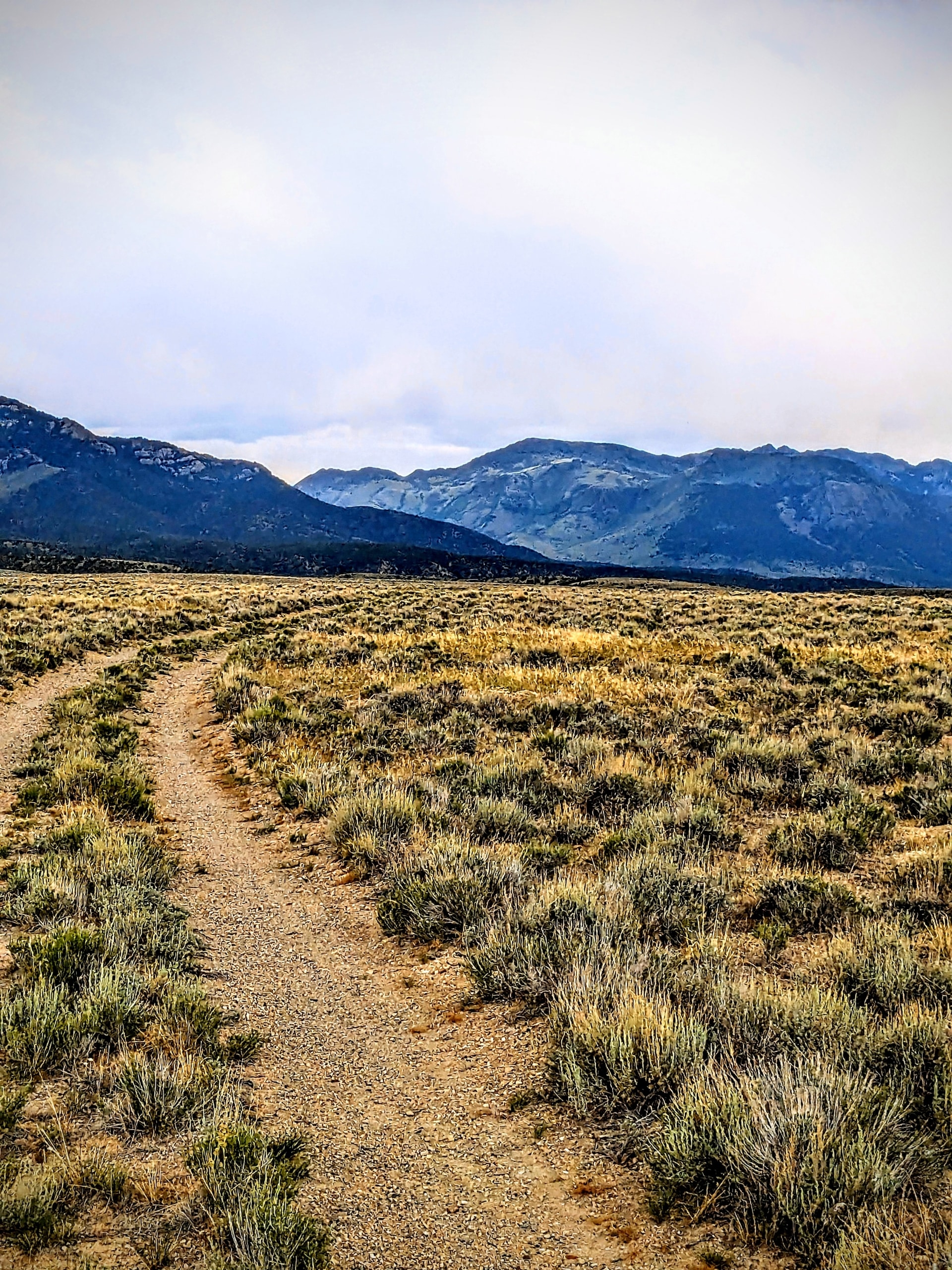 10 Acres Land in Nevada