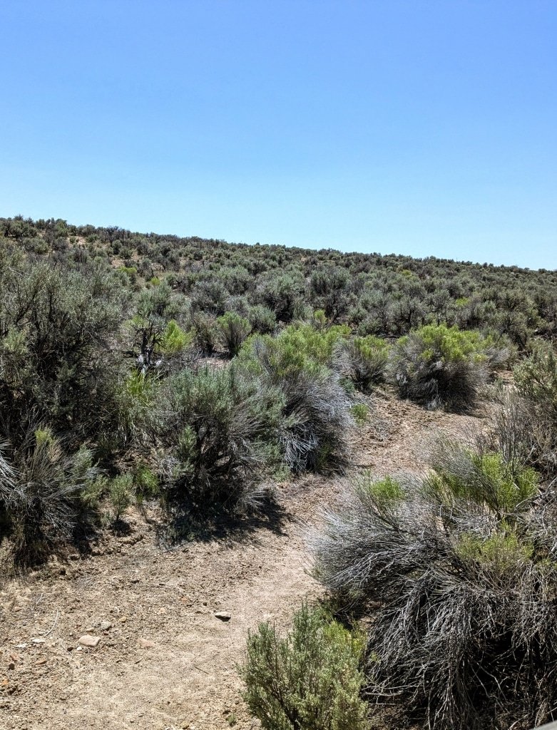 Flat terrain lot in Elko, Nevada available for RV camping - 2.27 acres