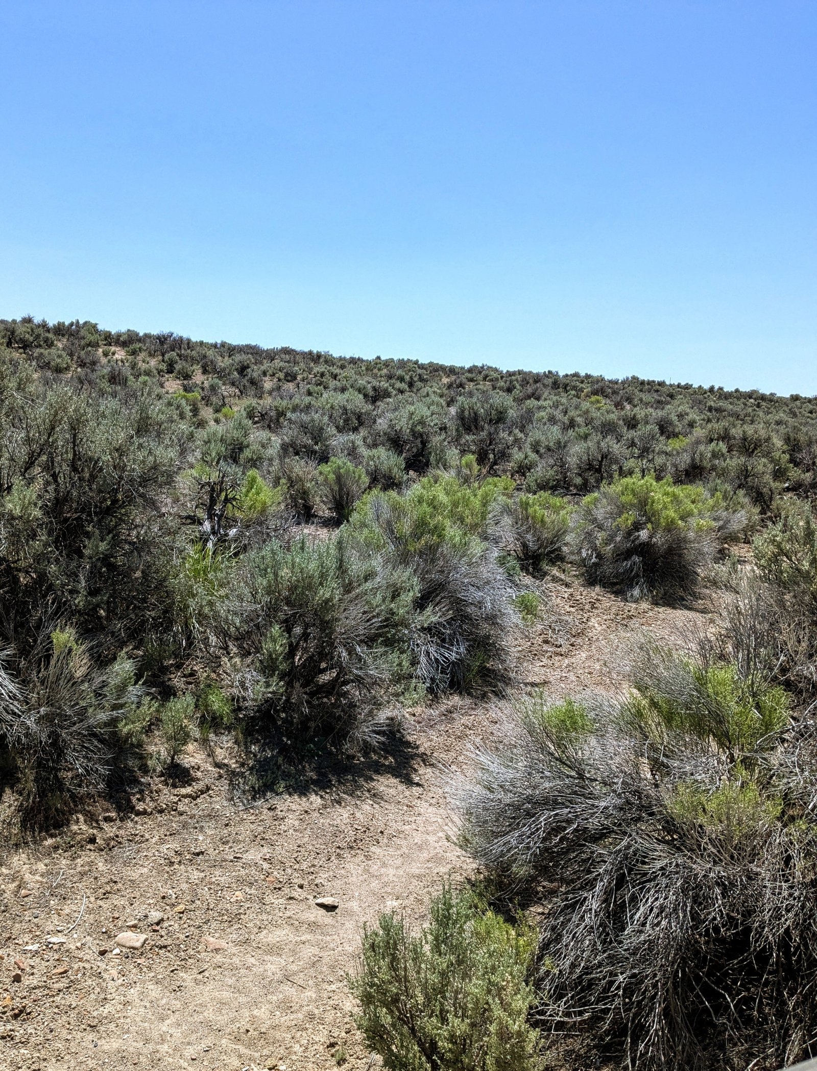 PXL_20250604_195846285.MP~2