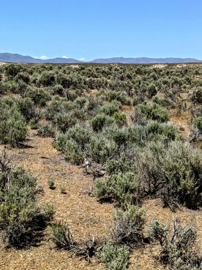 Sandy soil land listing in Elko County, Nevada - 2.27 acre parcel for $4,000 cash