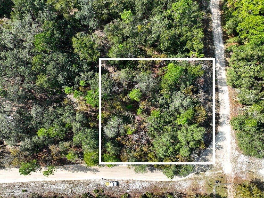 Corner lot for sale in Florahome, Florida - 10,890 sq ft buildable land