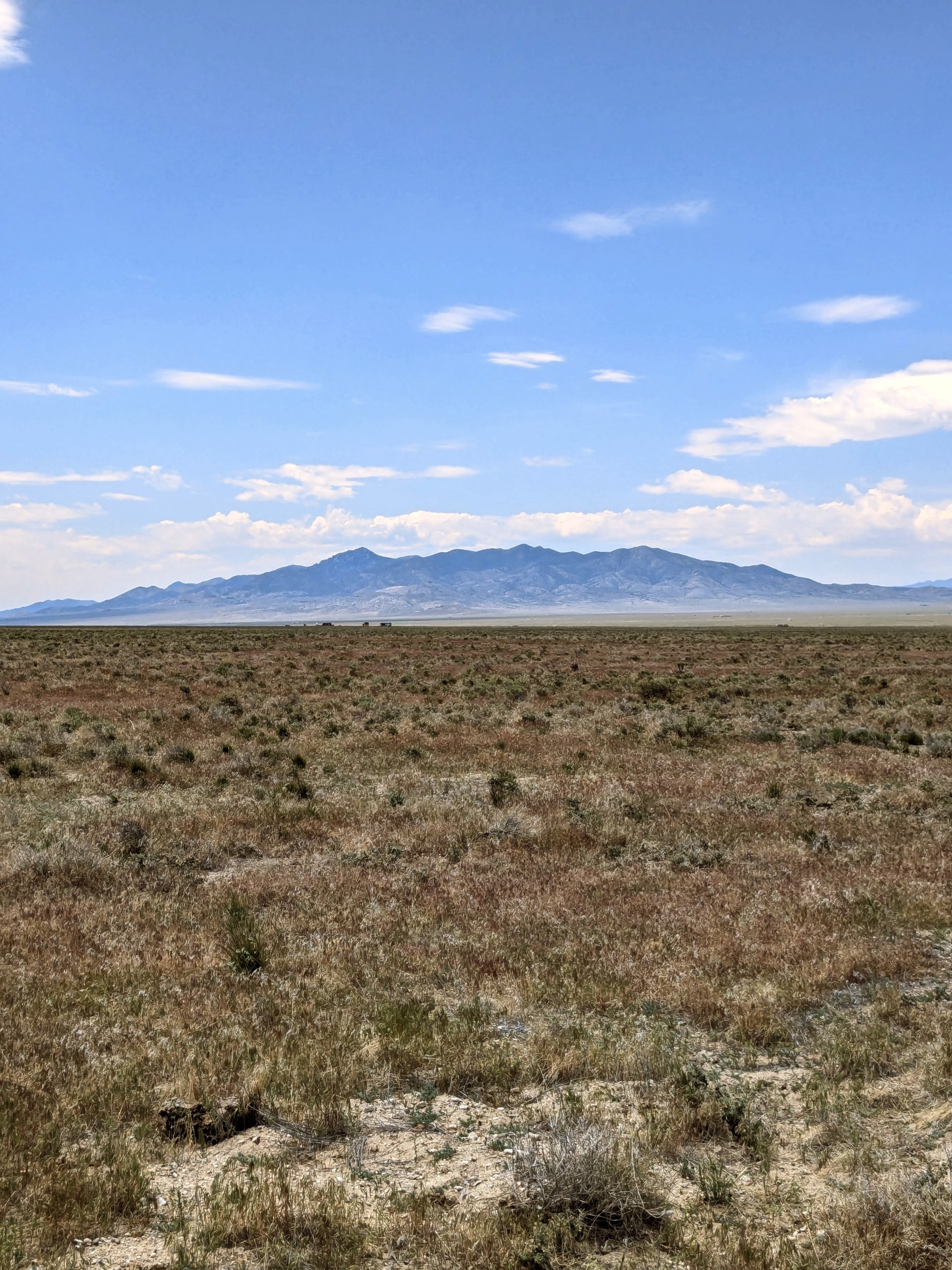 10 Acres Land in Elko Nevada with Owner Financing