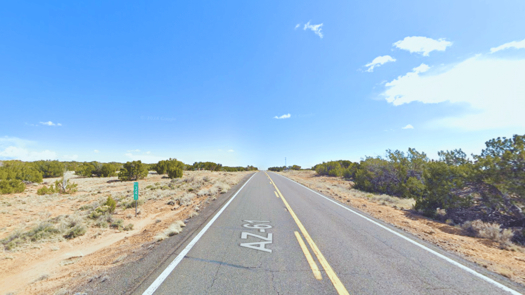 Open land with cell and internet service in Saint Johns, Arizona - photo 3