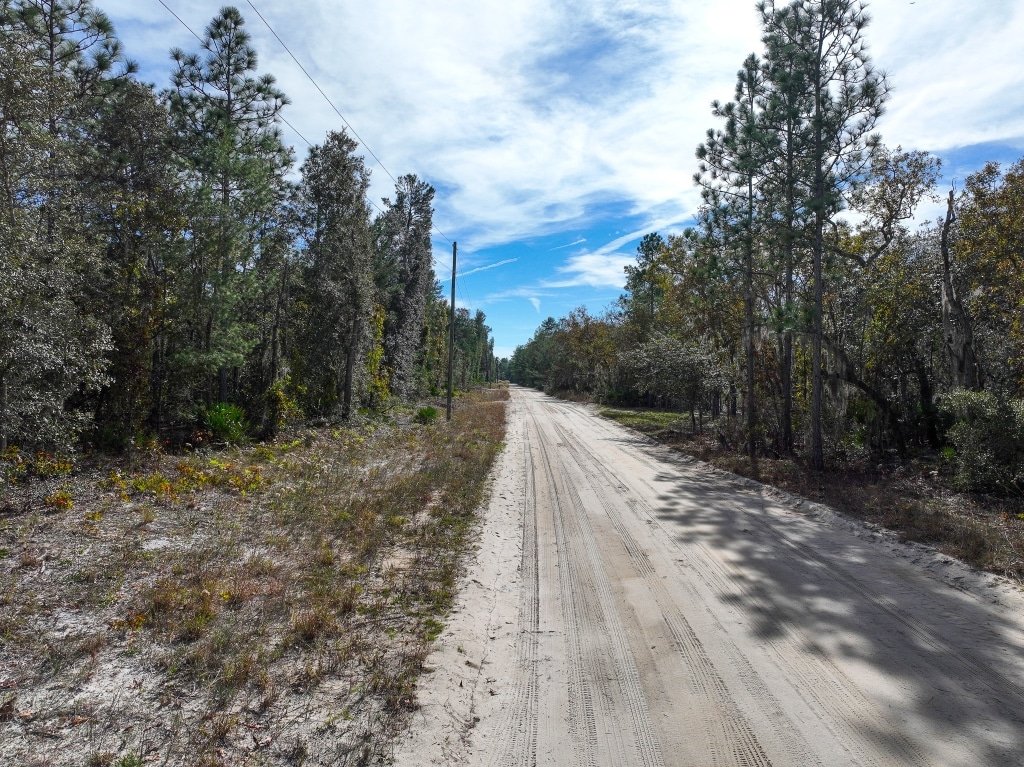 10,890 square foot land listing in Florahome, Palm Beach County - photo 3