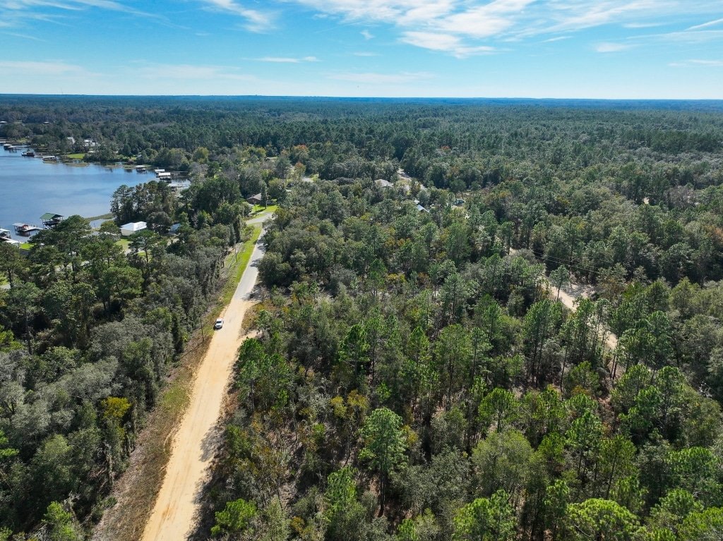 Buildable corner lot with lake view in Florahome, Florida - photo 2