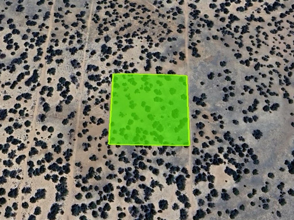 Flat open land in Saint Johns, Arizona with good climate zone - photo 6