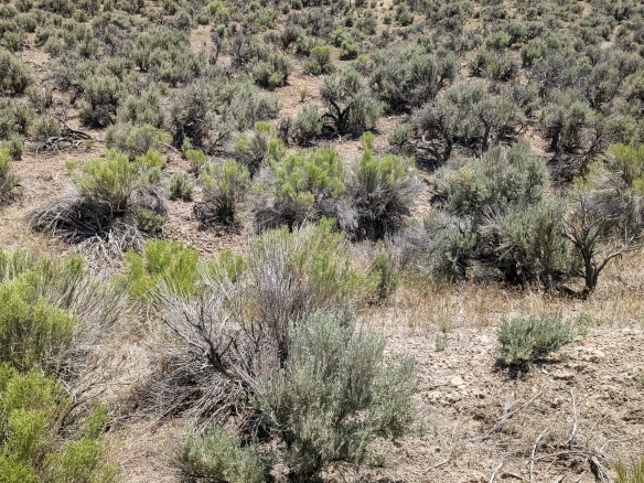 2.27 Acres Owner Financing Land in Elko Nevada