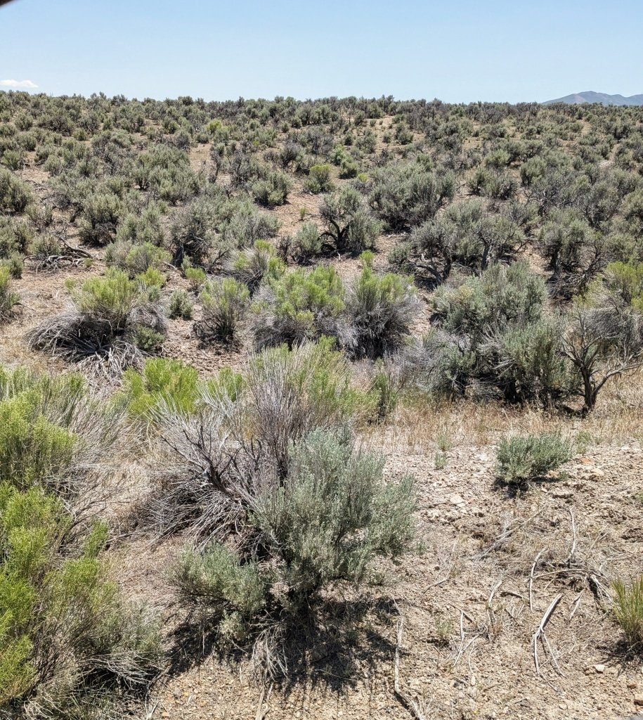 Peaceful Desert Retreat: 2.27 Acres for $140/mo – Easy Owner Financing