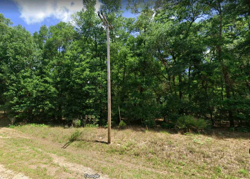 Buildable residential lot corner location Florahome, Florida - photo 7
