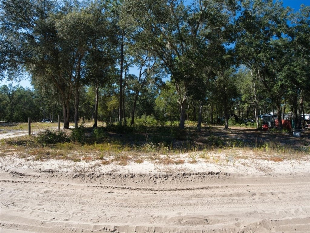 Affordable owner-financed land near Florahome, Florida - 0.30 acres - photo 9