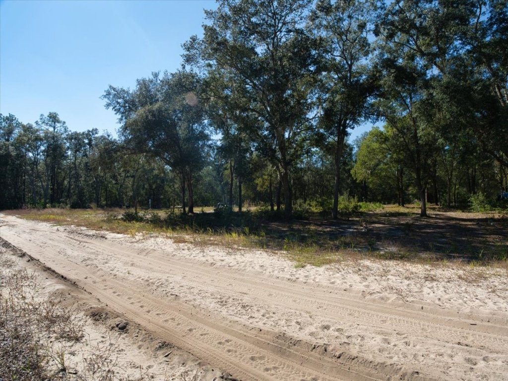0.30 acre buildable lot for sale at 7194 Quail Street, Florahome, Florida - photo 1