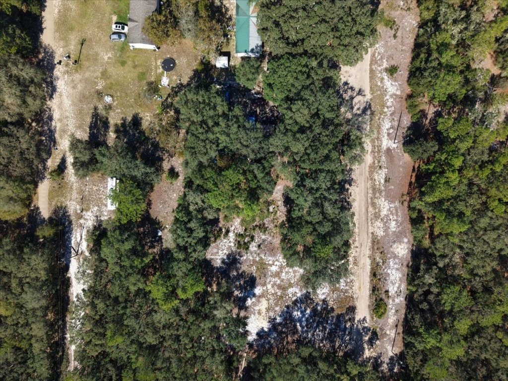 Owner-financed land for $9,750 in Putnam County, Florida - photo 4