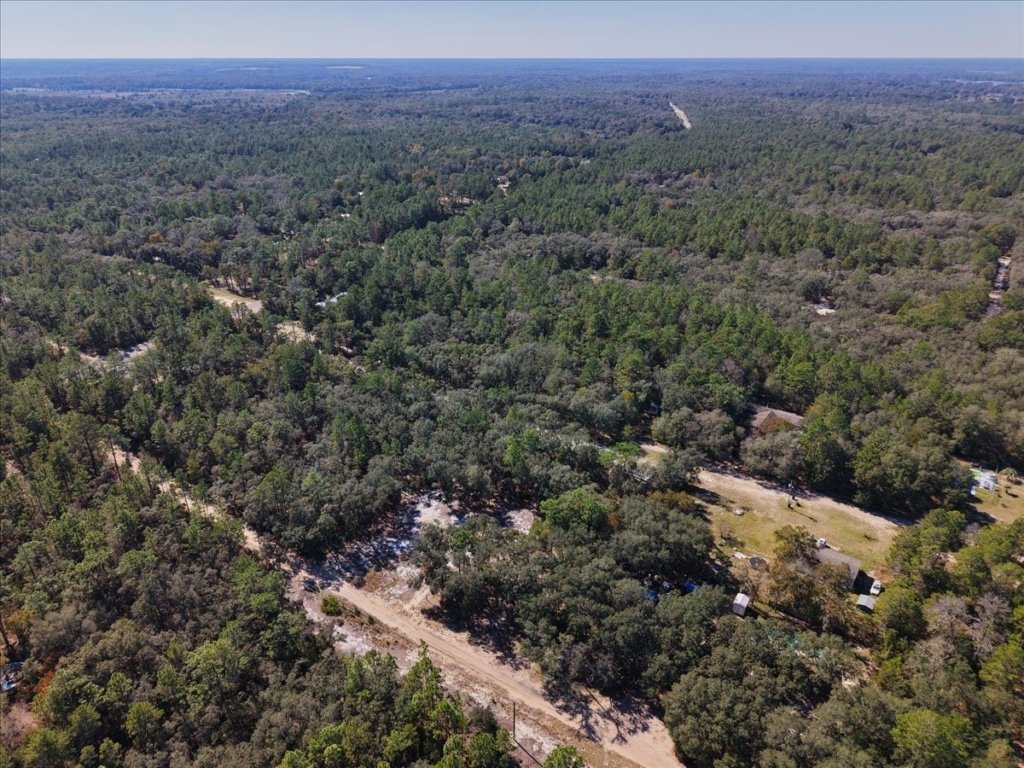 Putnam County, Florida land listing - 0.30 acres with road access - photo 2