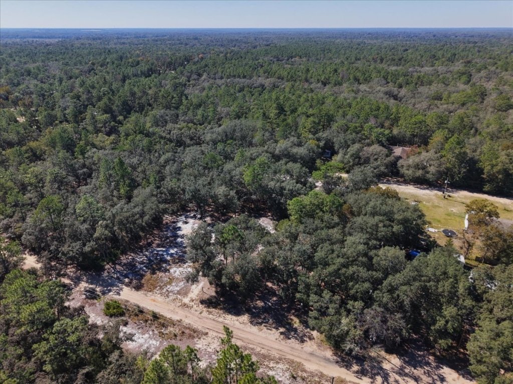 Affordable Florida land: 0.30 acre lot in Florahome with cell and internet - photo 3