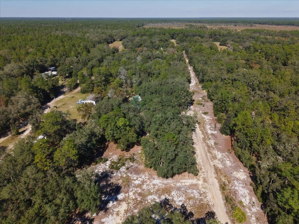 Small acreage with road frontage near Florahome, Putnam County - photo 6