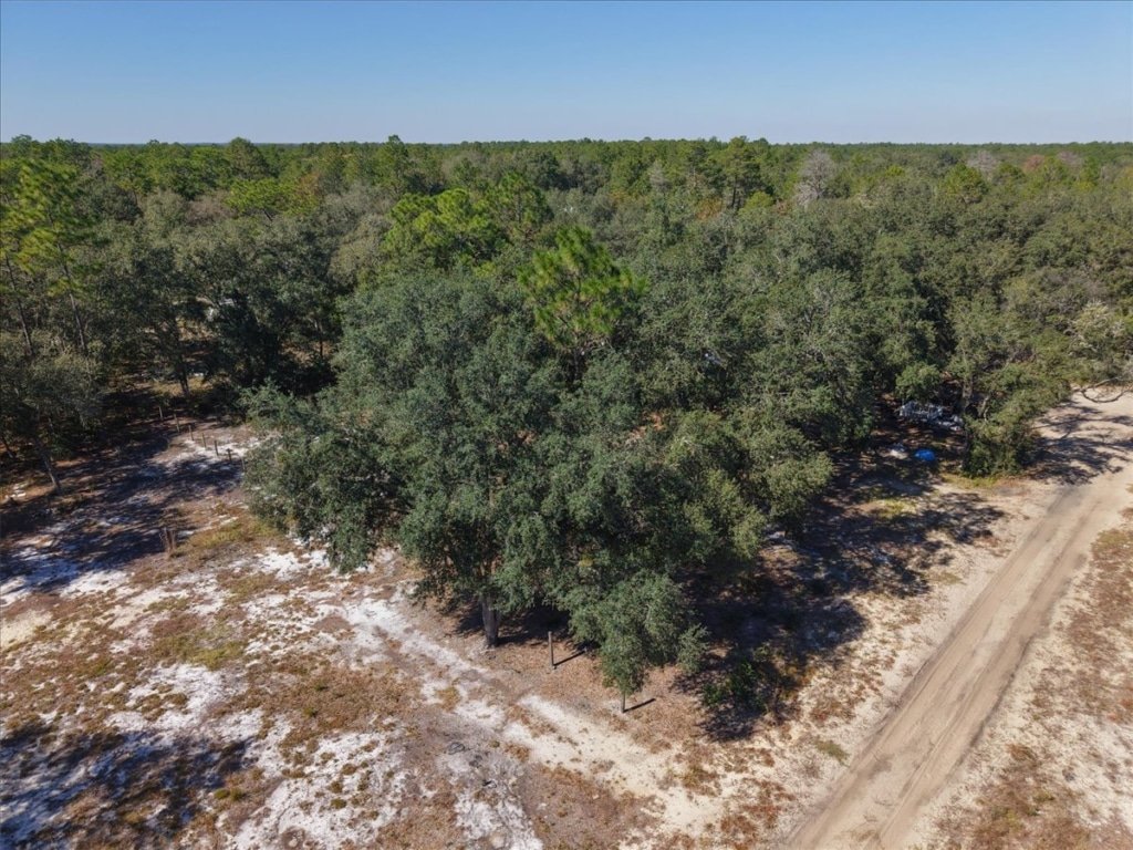 Buildable residential lot, 0.30 acres, Quail Street Florahome Florida - photo 5
