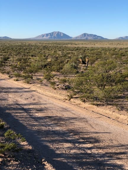 HOT SALE!!! 20 Acres of Texas Freedom … We Just Dropped the Price 13%!!!