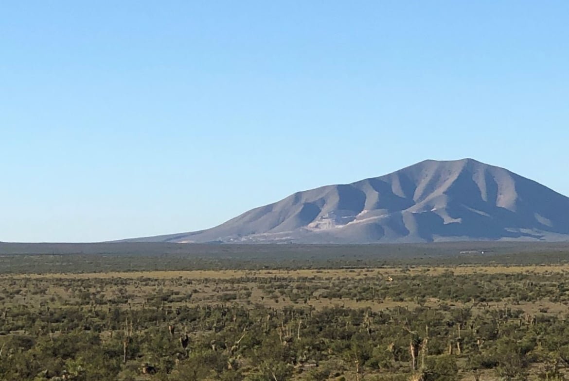 HOT SALE!!! 20 Acres of Texas Freedom … We Just Dropped the Price 13%!!!