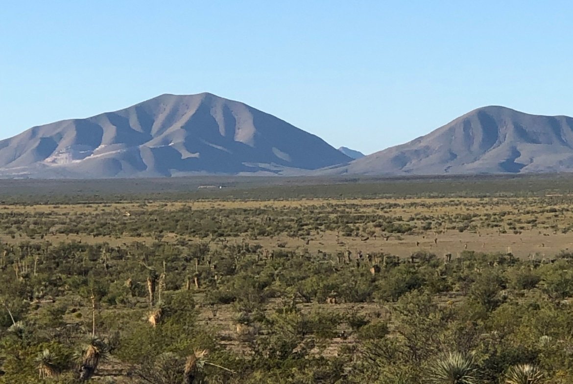 HOT SALE!!! 20 Acres of Texas Freedom … We Just Dropped the Price 13%!!!