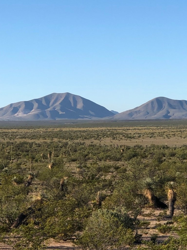 HOT SALE!!! 20 Acres of Texas Freedom … We Just Dropped the Price 13%!!!