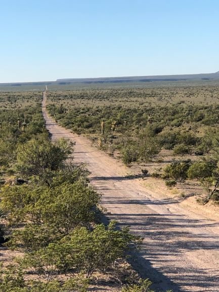 HOT SALE!!! 20 Acres of Texas Freedom … We Just Dropped the Price 13%!!!