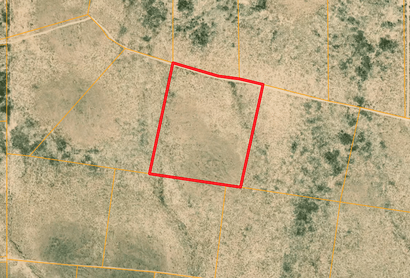 HOT SALE!!! 20 Acres of Texas Freedom … We Just Dropped the Price 13%!!!