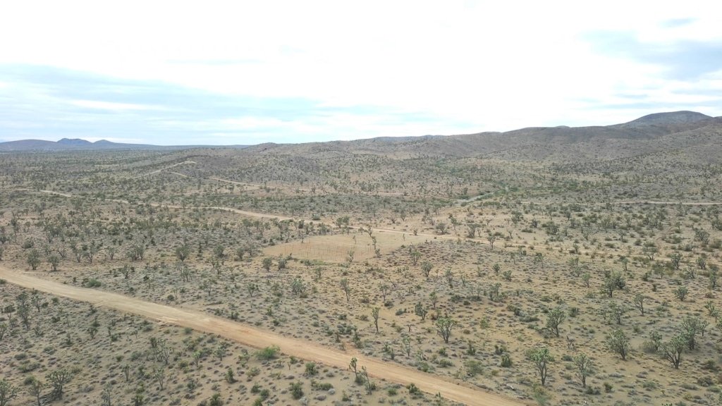1 Acre in Dolan Springs, AZ — Your Adventure Starts Here!