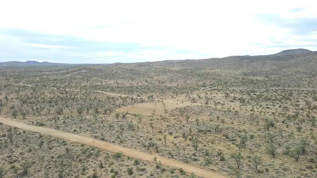 1 Acre in Dolan Springs, AZ — Your Adventure Starts Here!